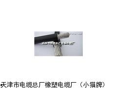 国标精品9999,匠心独运，品质卓越的典范之作